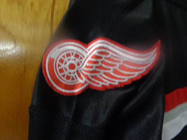 DSC00026 Detroit Red Wings/Grand Rapid Griffins #92 Marco Kasper CUSTOM Jersey