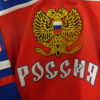 Detroit Red Wings/Team Russia #91 Sergei Fedorov Olympic Jersey
