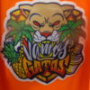 Florida Panthers #13 Sam Reinhart Vamos Gatos CUSTOM Jersey