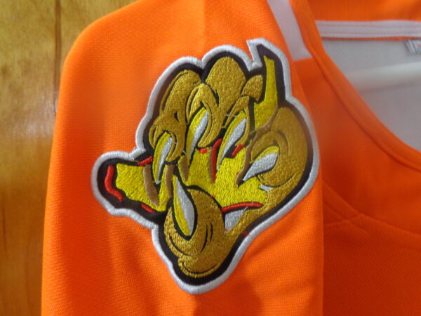 DSC00089 Florida Panthers #13 Sam Reinhart Vamos Gatos CUSTOM Jersey