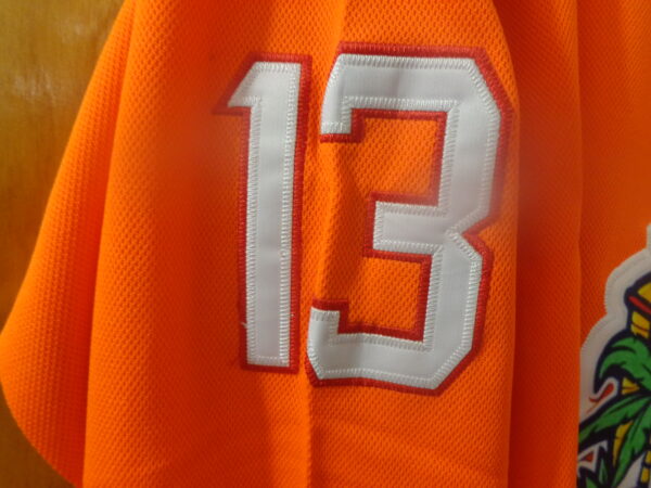 DSC00091 Florida Panthers #13 Sam Reinhart Vamos Gatos CUSTOM Jersey