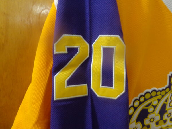 DSC00150 Los Angeles Kings Hall of Famer #20 Luc Robitaille Vintage Jersey