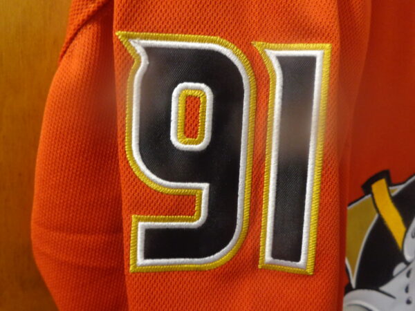 DSC00221 Anaheim Ducks #91 Leo Carlsson 30th Anniversary CUSTOM Jersey